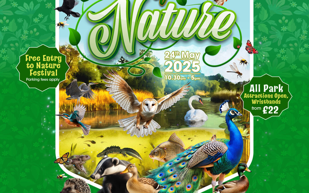 GENR8 supports Kettering Festival of Nature